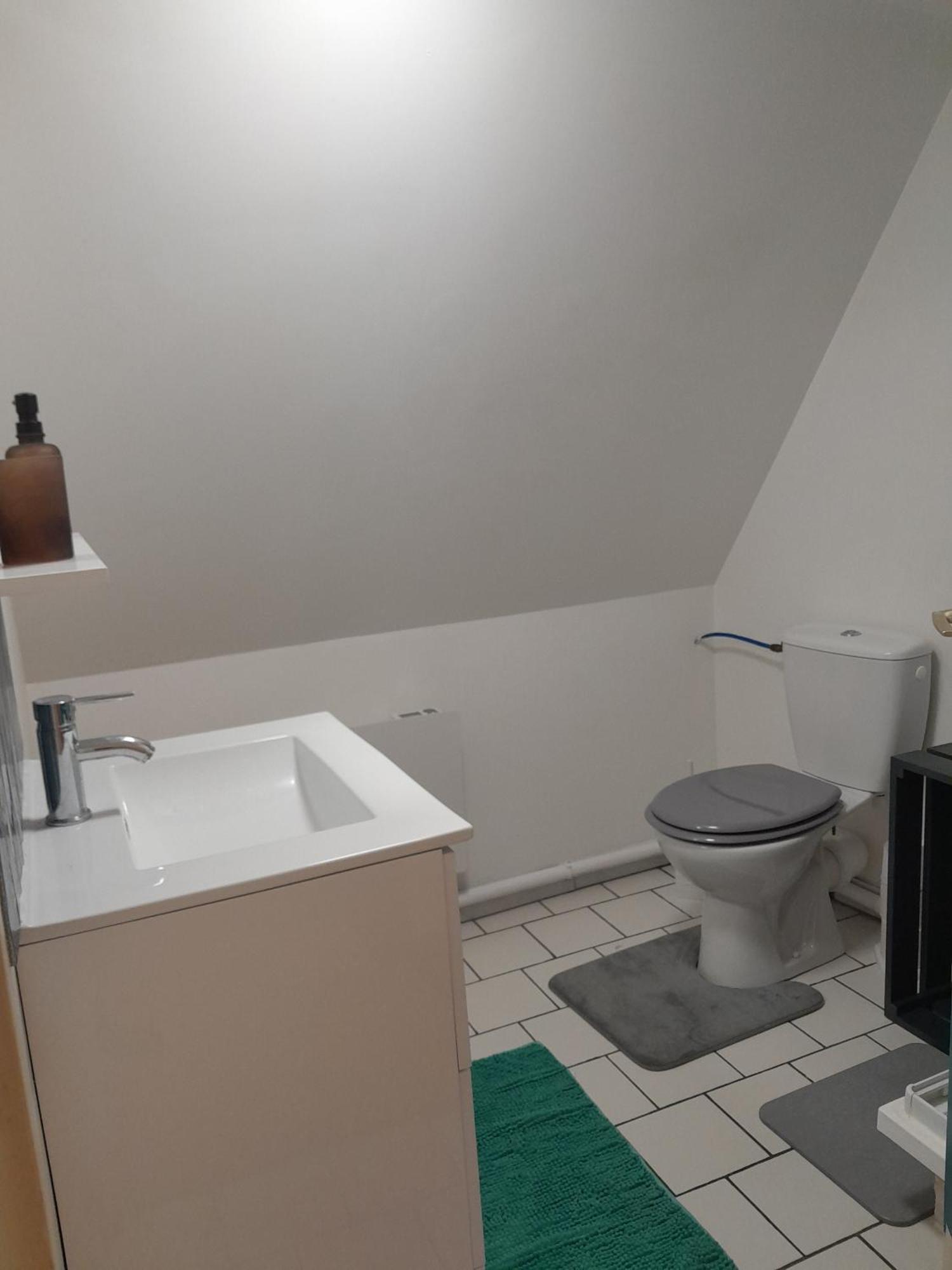 Duplex Charmant Au Coeur De Levroux Екстериор снимка